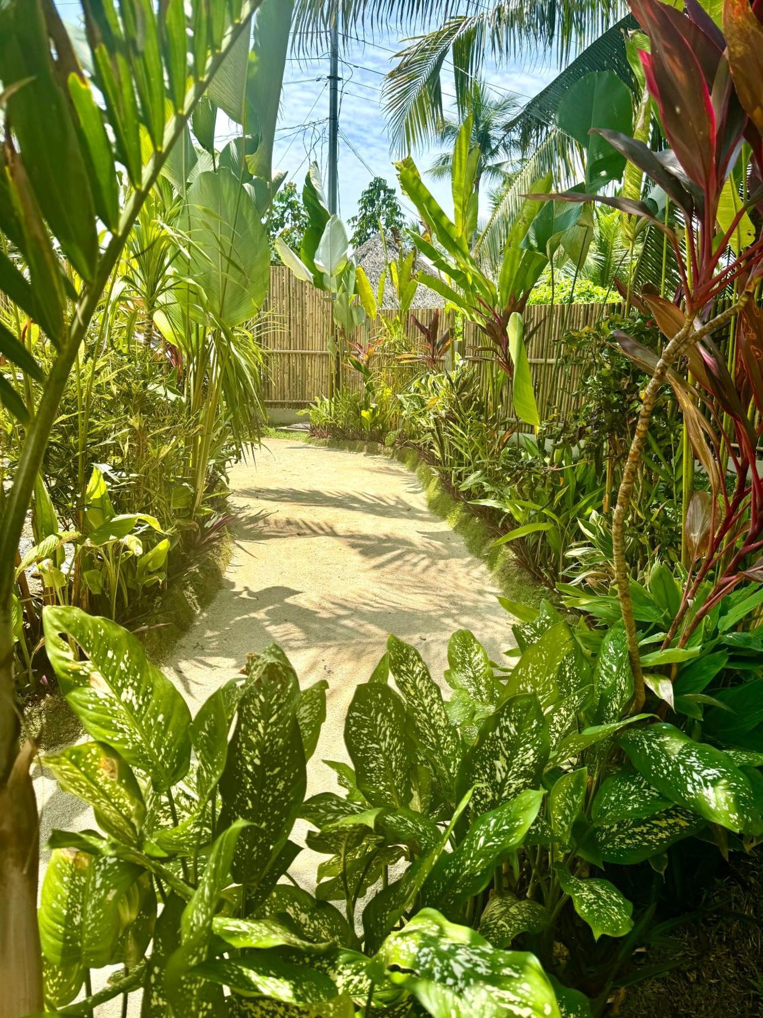Villa Pura Vida Apartments Siargao General Luna  Exterior photo